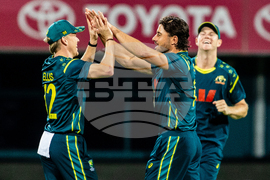 Australia India T20 Cricket