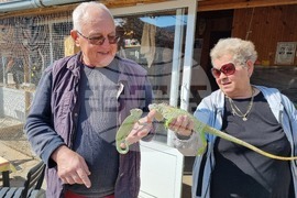 Село Марчино - пауни - стопани