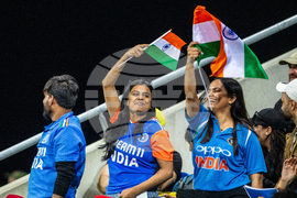 Australia India T20 Cricket