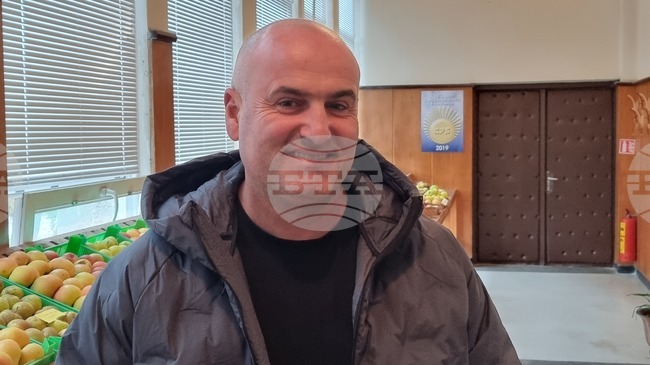 Институтът по земеделие в Кюстендил отчете добра реколта от грозде в региона