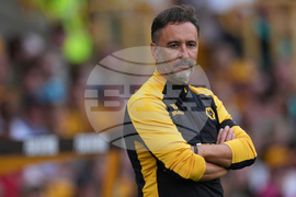 Soccer Wolverhampton Wanderers' Pereira