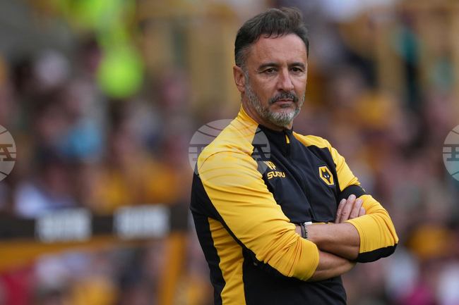 Soccer Wolverhampton Wanderers' Pereira