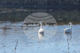 Село Тенево - риболовци