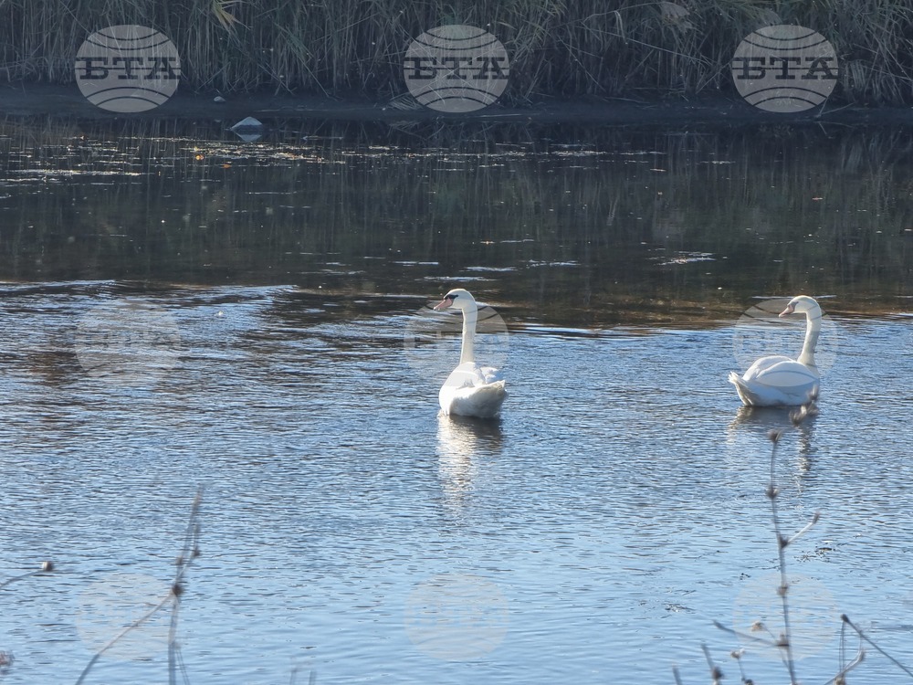 Село Тенево - риболовци