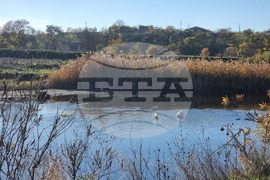 Село Тенево - риболовци