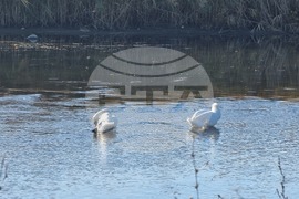 Село Тенево - риболовци