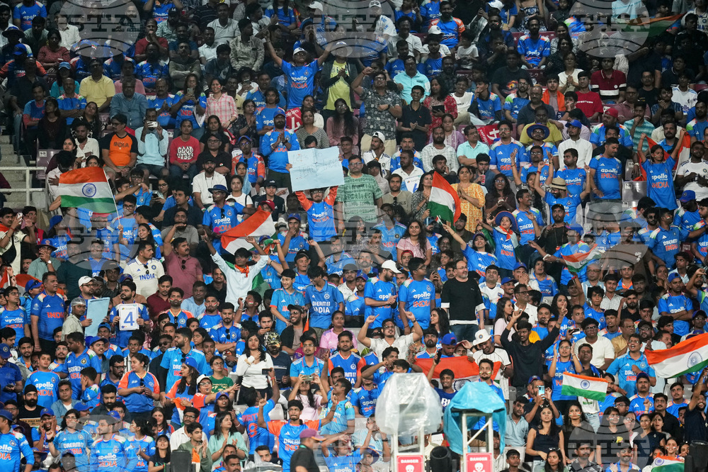 India Women's Cricket WCup