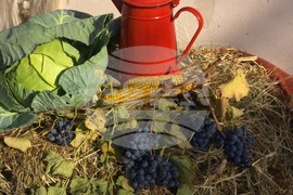 Село Антимово - „С вкус и цвят на есен“ - фестивал