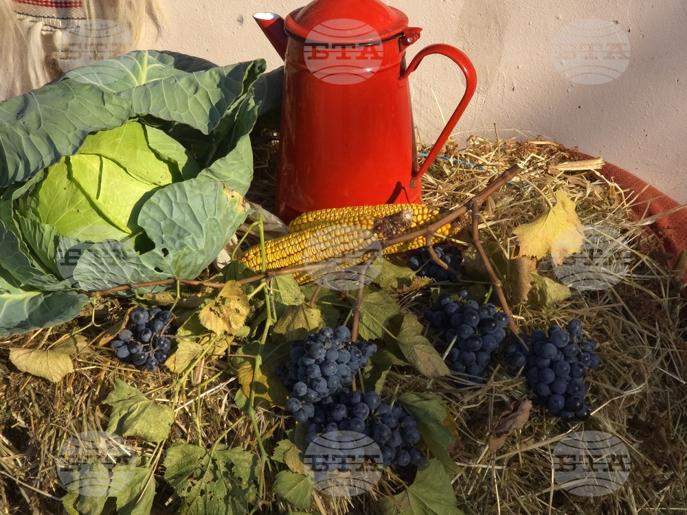 Село Антимово - „С вкус и цвят на есен“ - фестивал