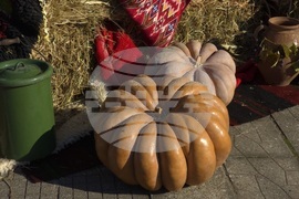 Село Антимово - „С вкус и цвят на есен“ - фестивал