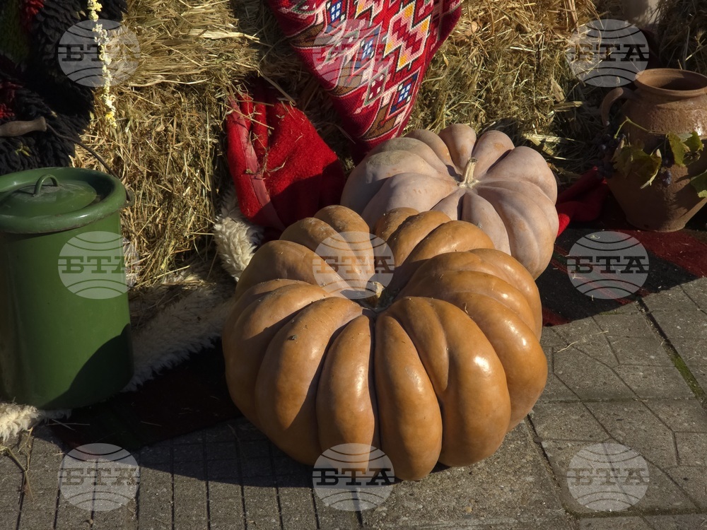 Село Антимово - „С вкус и цвят на есен“ - фестивал