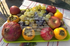 Село Антимово - „С вкус и цвят на есен“ - фестивал