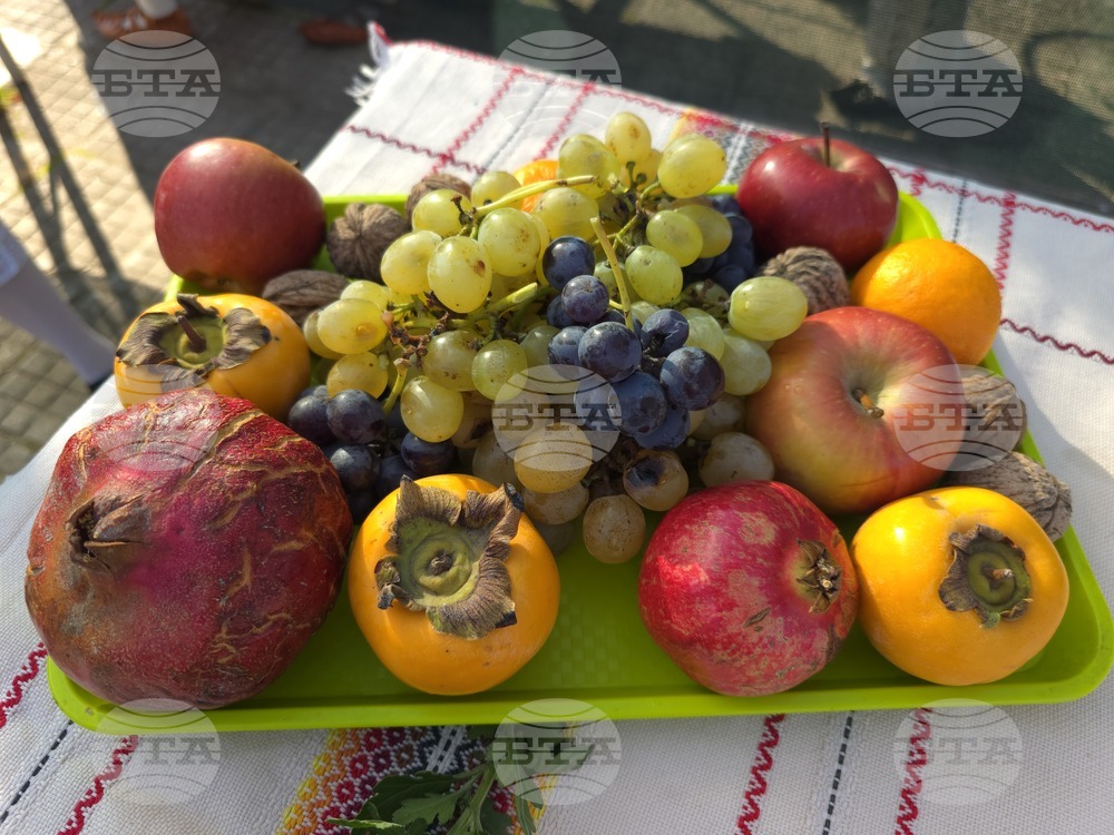 Село Антимово - „С вкус и цвят на есен“ - фестивал