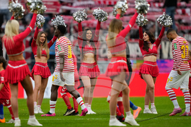 Germany Soccer Bundesliga