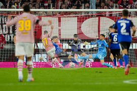 Germany Soccer Bundesliga