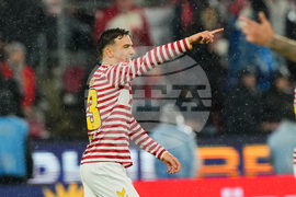 Germany Soccer Bundesliga