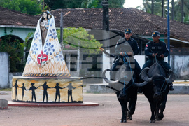 Brazil Marajo Island