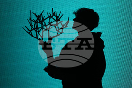 France Tennis Paris Masters