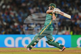 India Women's Cricket WCup