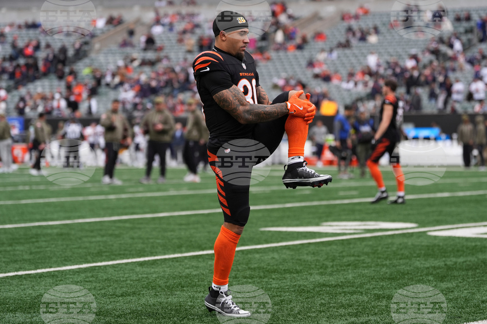 Bears Bengals Football