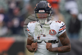 Bears Bengals Football