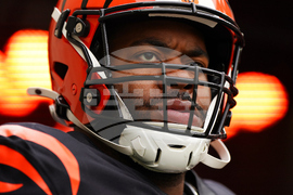 Bears Bengals Football