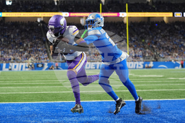 Vikings Lions Football