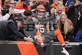 Bears Bengals Football