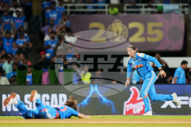 India Women's Cricket WCup