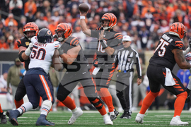 Bears Bengals Football