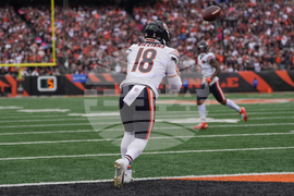 Bears Bengals Football