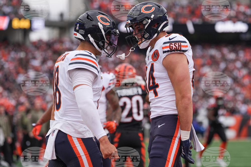 Bears Bengals Football