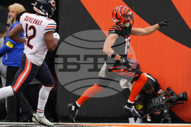 Bears Bengals Football