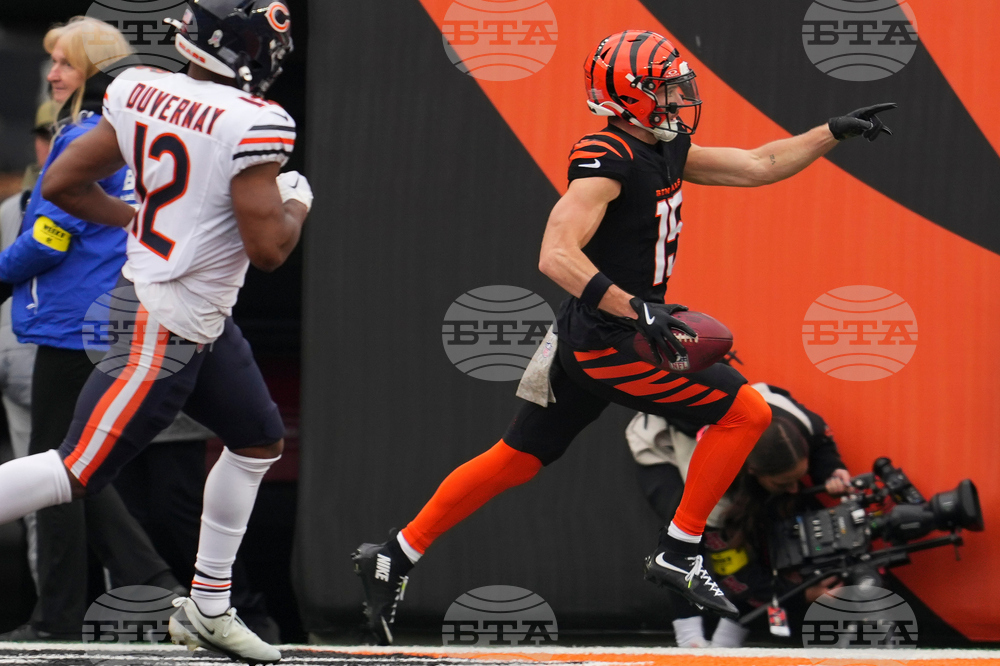 Bears Bengals Football