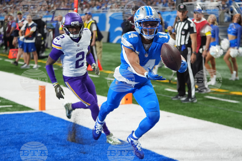 Vikings Lions Football