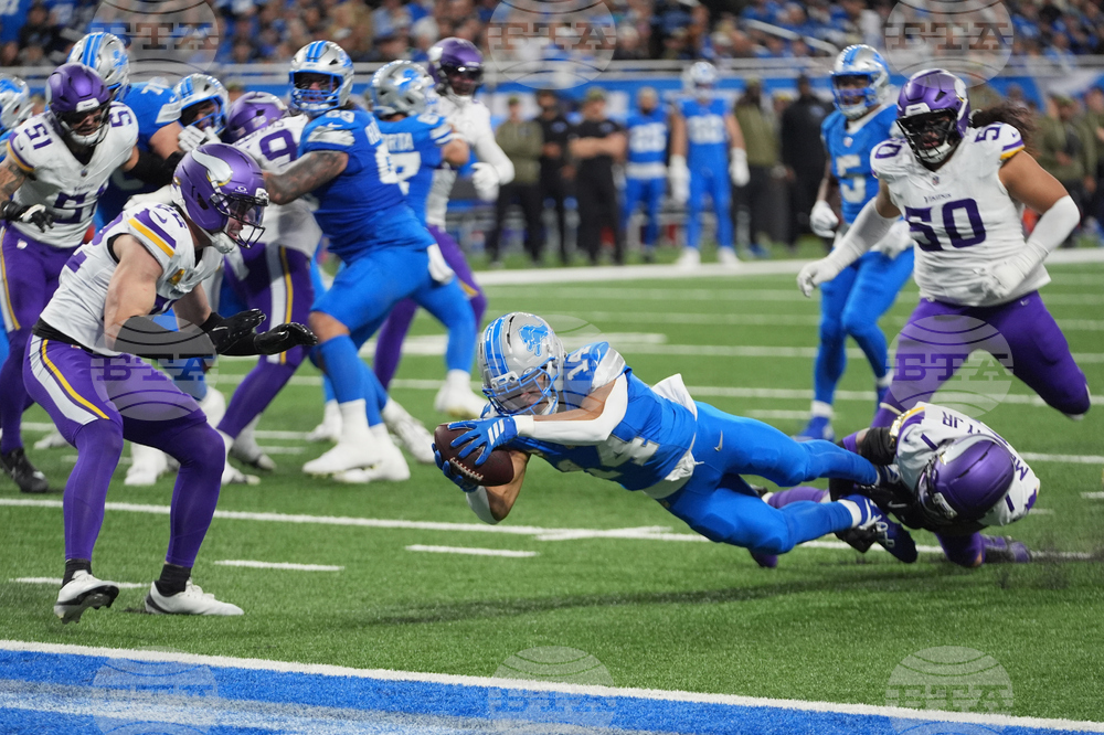 Vikings Lions Football