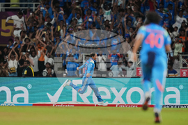 India Women's Cricket WCup