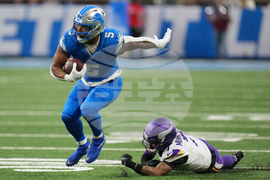 Vikings Lions Football