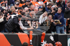 Bears Bengals Football