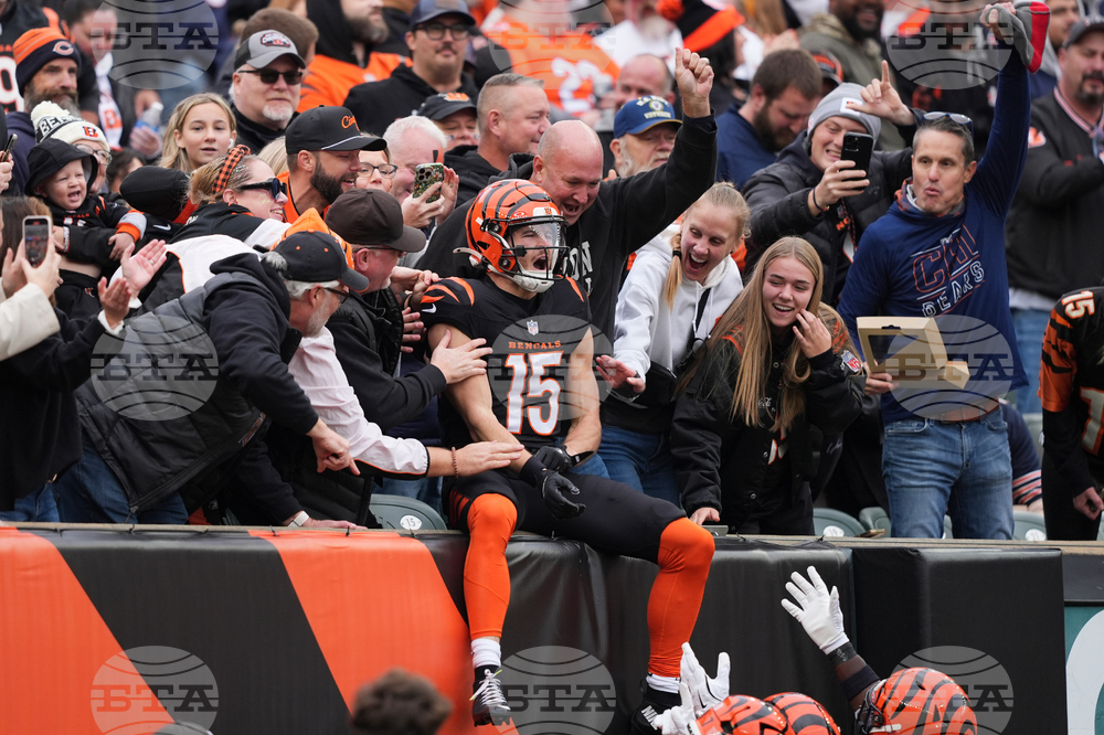 Bears Bengals Football