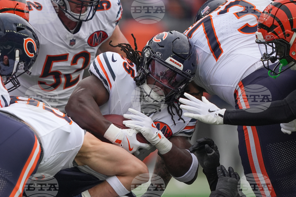 Bears Bengals Football