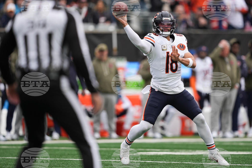 Bears Bengals Football