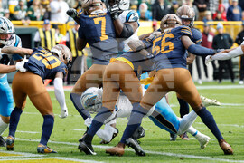 Panthers Packers Football