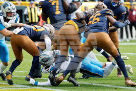 Panthers Packers Football