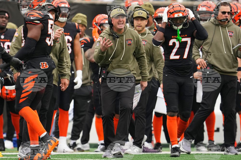 Bears Bengals Football