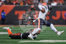 Bears Bengals Football