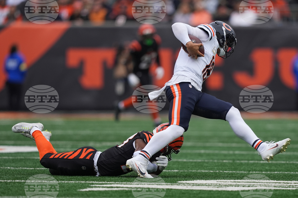 Bears Bengals Football