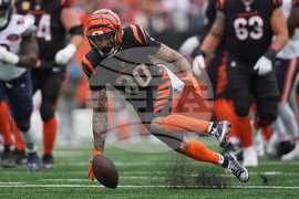 Bears Bengals Football