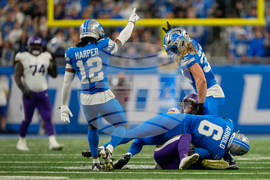 Vikings Lions Football