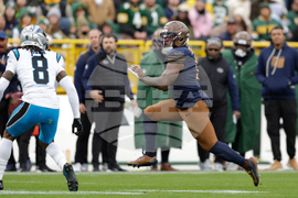 Panthers Packers Football